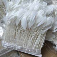 Fournisseur Fabricant Vente en Gros Plumes de Canard Teintées à Rayures avec Franges pour Décoration, Vêtements et Accessoires de Fête et de Carnaval