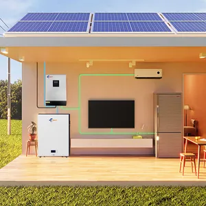 Parallel Inverter Hybride Zonne-Energie Omvormer Pure Sinus 24V 3kw 5kw 48V 5kw 5.5kw Off Grid Zonne-Omvormer Met Wifi