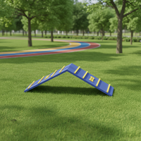 Parc de jeux commercial de haute qualité pour chiens, équipement d'agilité pour la formation et la garderie des animaux, pour l'extérieur, à vendre, certifié CE EN1176