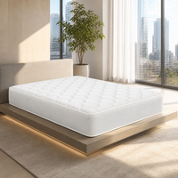Matelas Queen à ressorts ensachés, compressé sous vide en boîte, idéal pour appartement, OEM