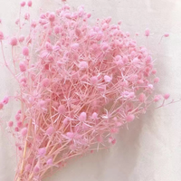 Direct van de fabriek: 15 geconserveerde bloemenkoppen, liefdesvruchten, Valentijnsbloemen voor thuisdecoratie
