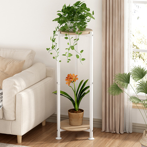 Living Room Balcony Garden Patio Multiple <strong>Plants</strong> Display Rack 2 Tier Indoor Outdoor Tall <strong>Corner</strong> <strong>Plant</strong> Shelf Metal Flower Stands - Product Image 1