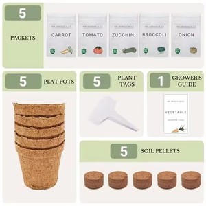 Kit da giardino interno per il giardinaggio domestico con i bambini per piantare Broccoli carote pomodoro zucchine-uso del pavimento - Product Image 2