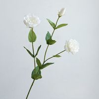 Haute qualité fait à la main Real Touch soie artificielle Lisianthus fleurs 3 têtes Platycodon tige décorative à vendre