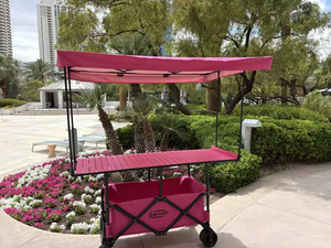 Chariot pliable à roues larges personnalisé pour l'extérieur, chariot de jardin, chariot de plage pliable pour le camping avec pare-soleil amovible - Product Image 2
