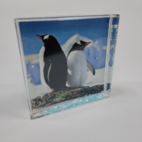Cadre photo flottant en acrylique 4x4 pouces avec impression sérigraphique, décoration moderne, cadeau de vacances, souvenirs, figurines de requins et de poissons