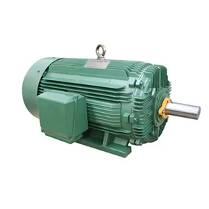 NEMA Standard 100 Hp 150HP 200HP High Efficiency Induction Motor For Oil Well Pump