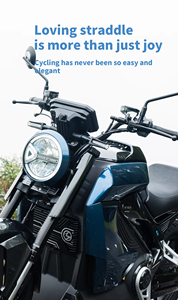 Moto électrique de qualité supérieure EEC 9500W adulte Enduro Ebike vitesse 110 KM/h 72V 35AH 260N.m Dirt Bike acier à vendre - Product Image 4