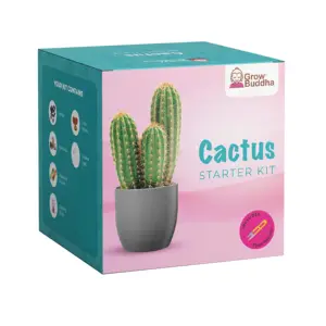 Kit inicial de jardim, conjunto de brinquedos inteligentes, cactos suculentos, plantas vivas naturais que levitam, vasos pequenos para plantas, plantador inteligente, árvore de cactos