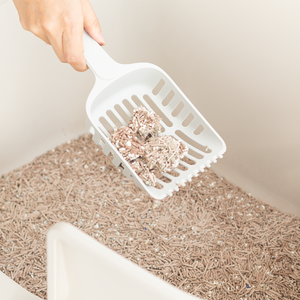 Litière pour chat <span class=keywords><strong>Scoop</strong></span> Sifting Kitten Pooper Lifter Durable Heavy Duty pour litière - Product Image 5