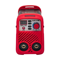 Machine à souder portable 2 en 1 MMA et TIG 110/220V, mini soudeuse ARC IGBT pour usage domestique