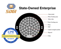 Kabel Serat Optik Terlilit G652D Ultra High Density Bersertifikat CPR untuk Pusat Data AI |   Interkoneksi Jaringan Utama 320F hingga 6912F
