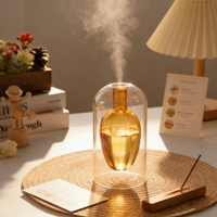 Diffuseur d'arômes en verre double couche au design unique Sishang 200 ml, bouteille décorative de luxe pour la maison, bâtonnets en rotin vides