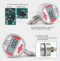 Y100 Digital Pressure Gauge 2500 Bar Wise Stainless Steel Case 100mm Size for Gas and Liquid Application