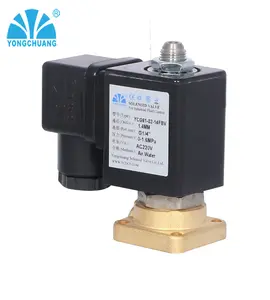 Yongchuang YCGT11 flanş kahve makinesi solenoid vana ac220v dc24v