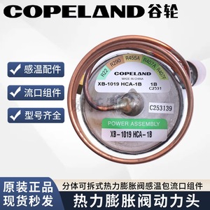 Vanne d'expansion thermique Copeland XB-1019 HCA-1B, ensemble de puissance d'équilibrage externe, pièces de réfrigération - Product Image 5