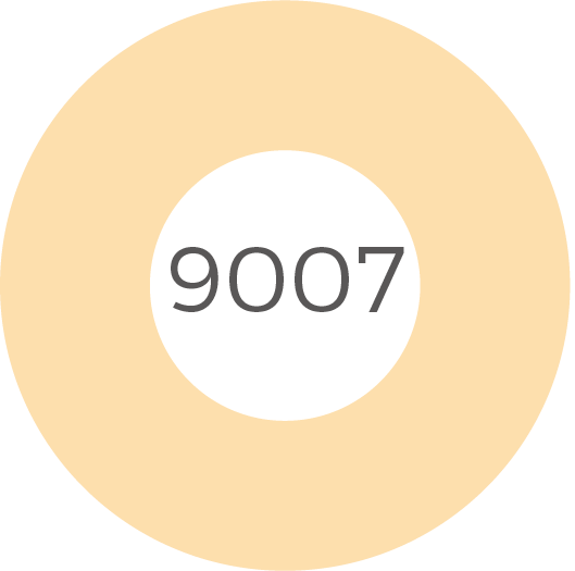 9007