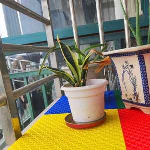 <span class=keywords><strong>Cour</strong></span> suspendue de basket-ball extérieure parquetant le plastique de épissure spécial pour des terrains de jeu de jardin d'enfants - Product Image 5