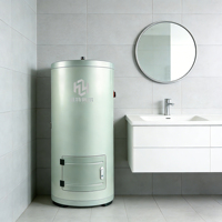 Réservoir d'eau solaire pressurisé de 100 L avec échangeur de chaleur à double serpentin et cuve émaillée pour capteur solaire à plaque plate