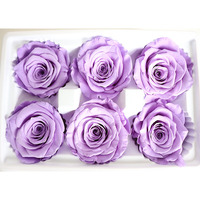 Lot de 6 roses éternelles de qualité supérieure (5-6 cm) – Rouge, Blanc, Rose – Vente en gros de roses préservées pour arrangements floraux DIY et cadeaux de la Saint-Valentin