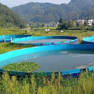 Aquariums ronds pliables en PVC SDM, 300 gallons, grand <span class=keywords><strong>aquarium</strong></span> en plastique, réservoir de pisciculture, <span class=keywords><strong>aquarium</strong></span> - Product Image 5