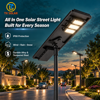 Lampadaire solaire tout-en-un commercial haute luminosité avec batterie intégrée, vente chaude