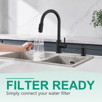 Robinet de cuisine en acier inoxydable 304 avec douchette extractible, 3 modes de jet et raccordement pour filtre à eau