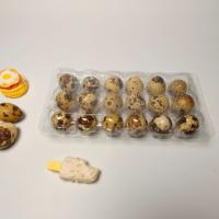 Boîte à œufs de caille en plastique transparent, 18 alvéoles, recyclable, en PET, emballage en vrac, jetable, petit conteneur pour œufs d'oiseaux