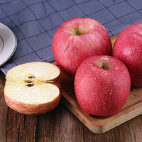 Pommes royales fraîches chinoises, pommes Fuji et Red Star fraîches et autres fruits frais au prix de gros en vrac pour l'exportation