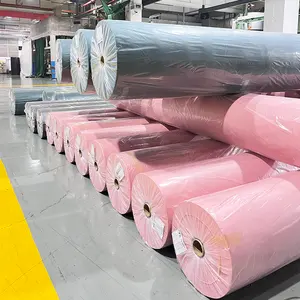NBI Factory Customized Spun-Bonded Nonwoven Technics and In-Stock Items Supply Type Pp non woven Fabric