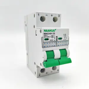 Produttore NPM1Z-63H tipo 10kA 2 pole MCB DC interruttore per sistema solare 10A