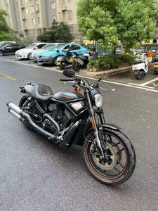 Motos d'occasion Harley-Davidson Night <span class=keywords><strong>Rod</strong></span> Sportster Series - Motos à essence performantes <span class=keywords><strong>V</strong></span>-Twin 1250cc refroidies par liquide - Product Image 2