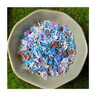 Blue Ocean Fish Shell arrose les fournitures de boue d'argile polymère pour la fabrication artisanale