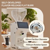 Moulin à café professionnel 50mm Burr 500g Hopper Commercial Office Home pour grossiste conception antistatique empêcher les éclaboussures