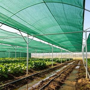 <span class=keywords><strong>Filet</strong></span> <span class=keywords><strong>d</strong></span>'<span class=keywords><strong>ombrage</strong></span> rectangulaire en HDPE tissé résistant aux UV pour l'agriculture en serre - Product Image 4
