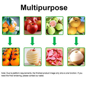 Nouvelle machine à éplucher les fruits multifonctionnelle de haute qualité pour usage commercial, fonction éplucheur de pommes, moteur 220V 2.2KW, excellent prix - Product Image 6