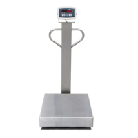 Balance numérique de table en acier au carbone 40x50cm personnalisable OEM