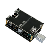 WUZHI AUDIO ZK-1001B Amplificateur de son mono 100W Module audio 100W TWS TPA3116D2 AUX USB APP