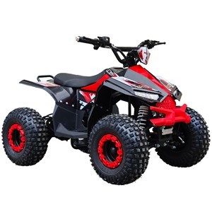Batterie <span class=keywords><strong>48V</strong></span> 20Ah, moteur 800W, <span class=keywords><strong>quad</strong></span> <span class=keywords><strong>électrique</strong></span>, ATV <span class=keywords><strong>électrique</strong></span>, quadricycle <span class=keywords><strong>électrique</strong></span>, cuatrimoto, quadriciclo, elektro <span class=keywords><strong>quad</strong></span> - Product Image 3