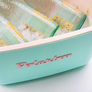 Glacière 20L Verte Pop Plastique Portable - Logo Rose et Sangle - <span class=keywords><strong>POLARBOX</strong></span> - Product Image 4