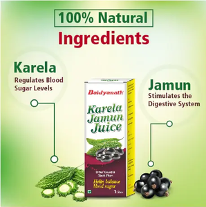 Jus de Karela et Jamun 1 litre Boisson naturelle à base de plantes Boisson rafraîchissante à base de plantes Biologique Boisson santé de qualité supérieure Liquide - Product Image 2