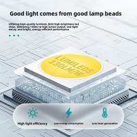 Éclairage de terrain de basket extérieur, IP65, étanche, en aluminium, luminaire à haut mât, projecteur, haute efficacité lumineuse, LED CRI 80