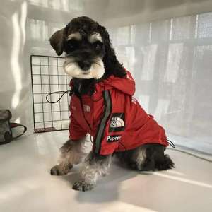 Impermeable para Perros Grandes de la Marca Trendy, Resistente al Viento y a la Lluvia, con Diseño de Cara de Perro - Product Image 4