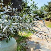 Pohon Willow Salju Buatan, Segar dan Elegan, Salju Buatan, Dekorasi Rumah, Perlengkapan Fotografi, Desain Lanskap