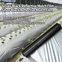 Film de paillage en PE noir argenté haute résistance, couverture de sol agricole en plastique robuste