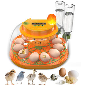 Mini incubadora doméstica, diseño de escritorio compacto con observación iluminada, temperatura constante automática - Product Image 1