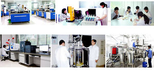 18 anni produttore di <span class=keywords><strong>aromi</strong></span> <span class=keywords><strong>alimentari</strong></span> di buona qualità kimchi aroma in polvere fornitore sapore alimentare liquido con campione gratuito - Product Image 3