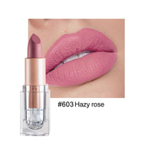 Rouge à lèvres minéral mat bio vegan, hydratant, longue tenue, maquillage de beauté, cosmétique de haute qualité