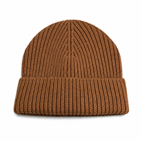Chapeau d'hiver sportif décontracté à la mode, logo brodé personnalisé, bonnet en tricot côtelé unisexe