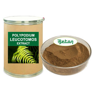 Оптовый традиционный травяной экстракт 10:1 20:1 из листьев полиподиума леукотомоса в порошке - Product Image 1